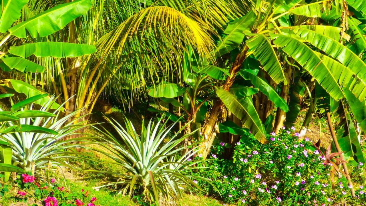 Mouggae Blues Villas Beau Vallon  Exteriör bild